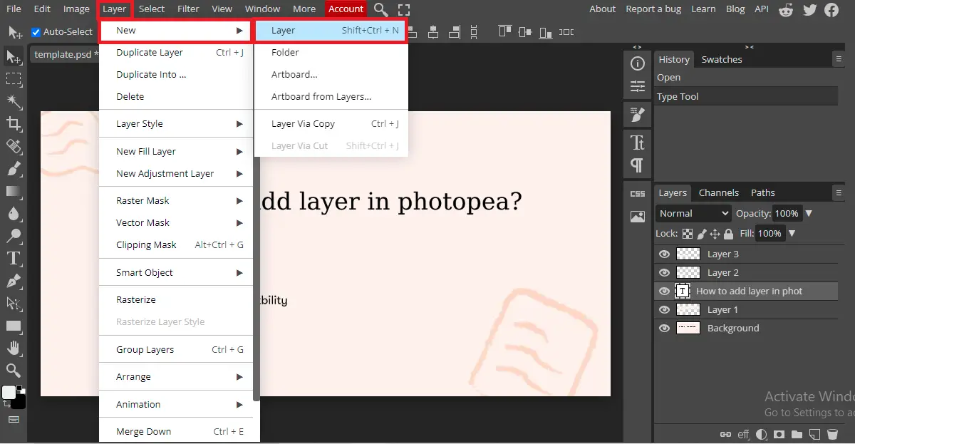 Photopea, adding layer, Example